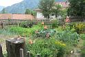 120712_talweg2_022