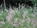 120720abendwanderung006