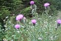 120720abendwanderung009