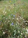 120720abendwanderung013