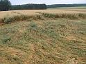 120720abendwanderung020