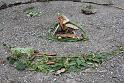 120825vereinsheim_kinder (06)
