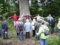 120919senioren_aebtissinenpfad011