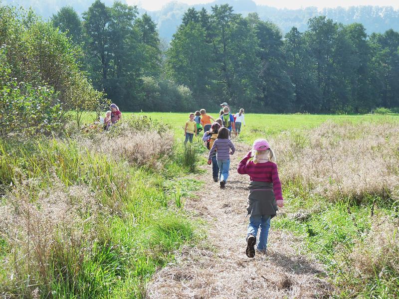 120923familien_ried043.jpg - Der Weg durch die Riedwiesen südlich der "Großen Trauben" ...