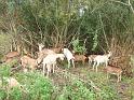 120923familien_ried012