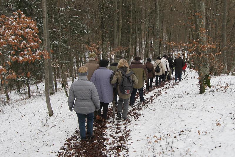 130112vilsingen073.JPG