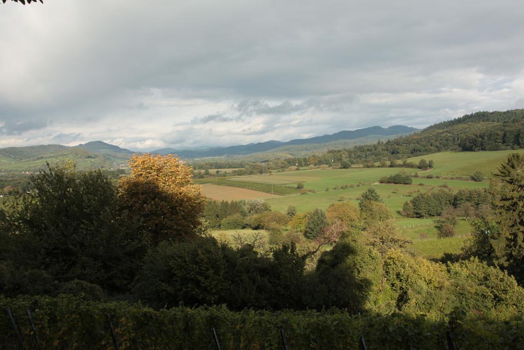 131010staufen125.JPG