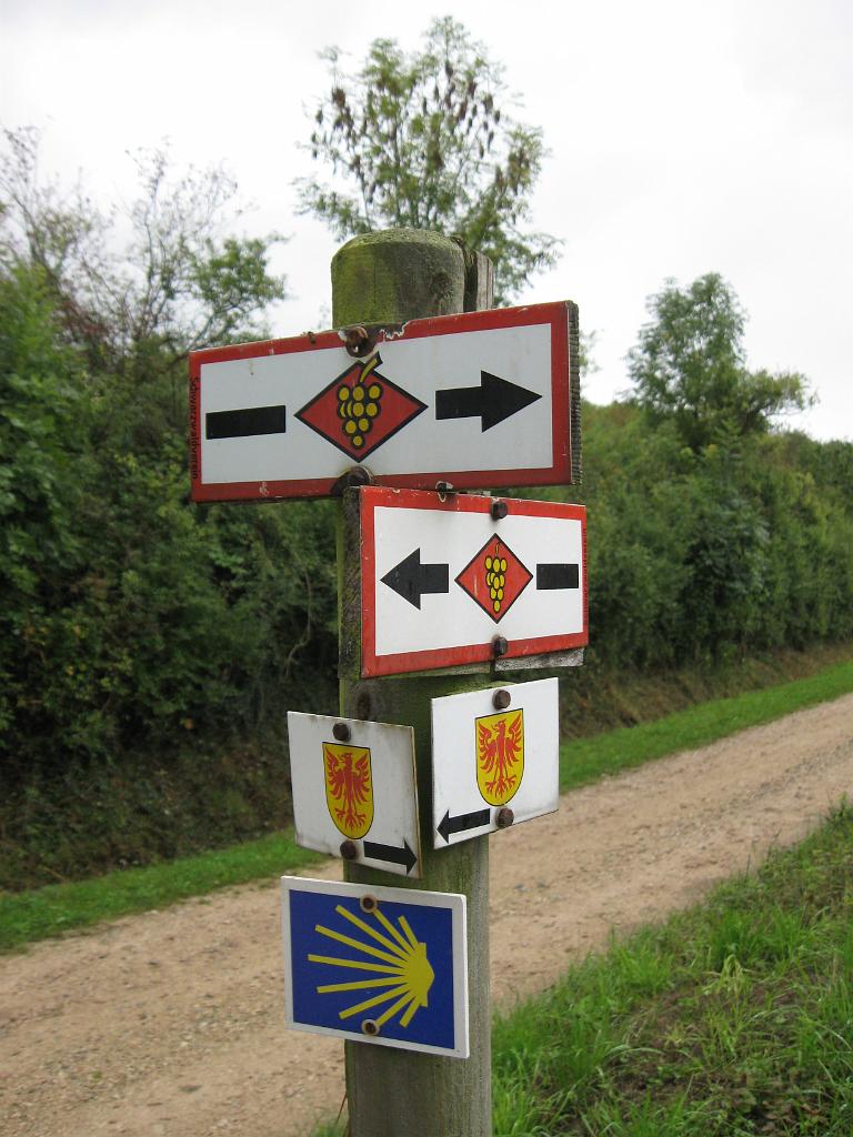 131012_GR1_wiiwegle052.JPG - Also konzentriert man sich auf diesem Pfad auf das Naheliegende...