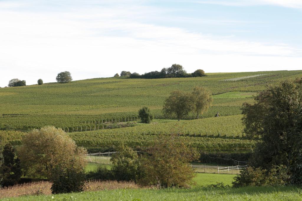 131013batzenberg095.JPG