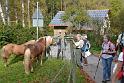 131020hechingen019