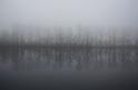 140119rulfingen126