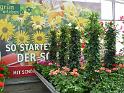 140429senioren_messkirch (12)