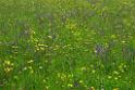 140518schoenbuch02_010a