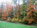 151018_eningen_wome106