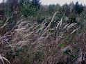 131212_jahresschluss_wanderung143