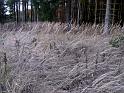 131212_jahresschluss_wanderung169