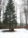 160124_winterwanderung_016