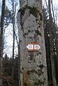 160124_winterwanderung_069