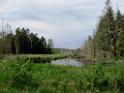 160529rad_oberschwaben_041