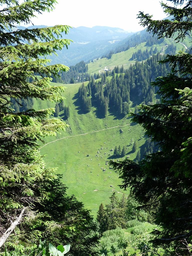 160710_berg_familien016.jpg