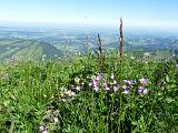 160710_berg_familien003