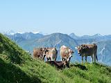160710_berg_familien007