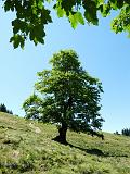 160710_berg_familien027