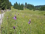 160710berg_senioren008