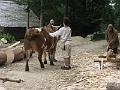 160817_campus_galli_wome107