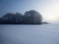 170121_landesausstellung005