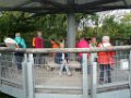 170923_ baumkronenpfad118