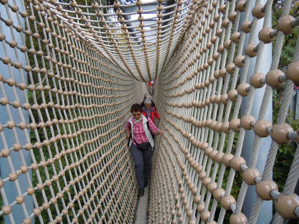 170923_ baumkronenpfad102.JPG