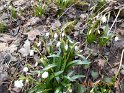 170303maerzenbecher_vortour02