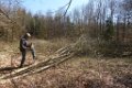 180406roemischer_gutshof (04)