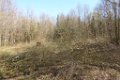 180406roemischer_gutshof (08)