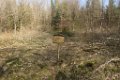 180406roemischer_gutshof (16)