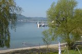 180429bluetenwanderung01_019