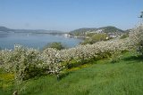 180429bluetenwanderung01_031