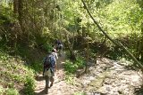 180429bluetenwanderung01_040