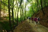180429bluetenwanderung01_045