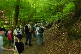 180429bluetenwanderung01_048