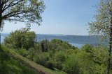 180429bluetenwanderung01_065