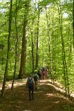 180429bluetenwanderung01_077