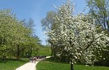 180429bluetenwanderung01_101