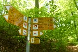 180429bluetenwanderung01_112