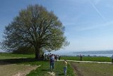 180429bluetenwanderung01_126