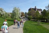 180429bluetenwanderung01_133