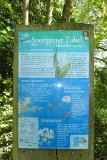 180429bluetenwanderung01_134