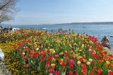 180429bluetenwanderung01_152