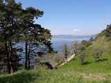 180429bluetenwanderung02_012